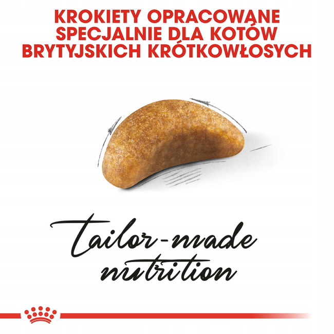 ROYAL CANIN British Shorthair Kitten karma sucha dla kociąt 10 kg