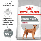 ROYAL CANIN CCN Medium Dental Care karma sucha dla psów dorosłych 10 kg