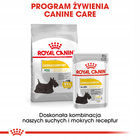 ROYAL CANIN CCN Dermacomfort karma mokra - pasztet 12 x 85g