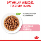 ROYAL CANIN Kitten Instinctive karma mokra w sosie dla kociąt 24 x 85g