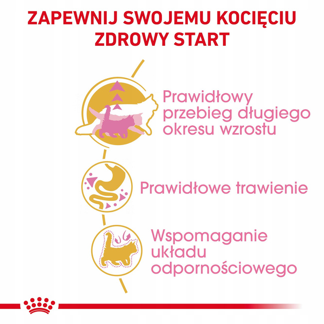 ROYAL CANIN Maine Coon Kitten karma sucha dla kociąt, do 15 miesiąca 0,4 kg