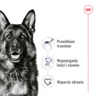 ROYAL CANIN Maxi Adult karma mokra w sosie dla psów dorosłych 10 x 140 g