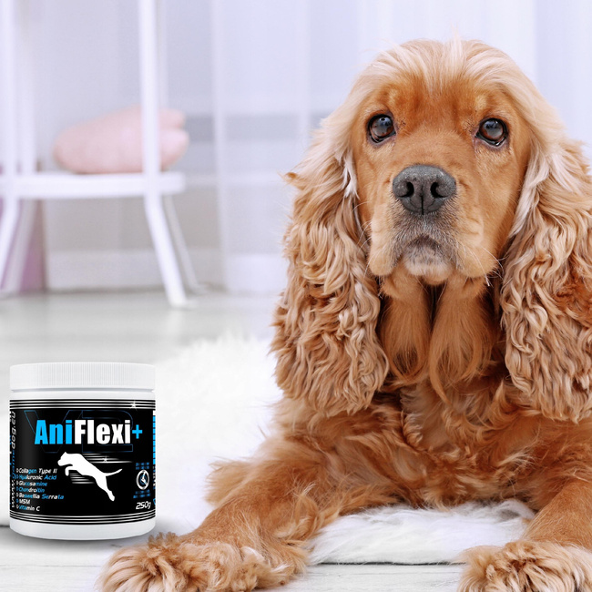 GAME DOG AniFlexi+ V2 Suplement na stawy dla psa 250g