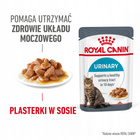 ROYAL CANIN Urinary Gravy karma mokra w sosie dla kota 24 x 85g