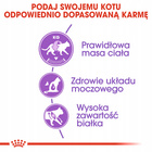 ROYAL CANIN Sterilised karma sucha dla kotów dorosłych 2 kg
