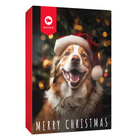 MACED Kalendarz Adwentowy przysmak dla psa mix smaków 145g