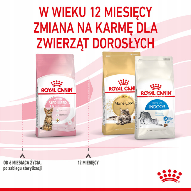 ROYAL CANIN Kitten Sterilised karma sucha dla kociąt sterylizowanych 0,4 kg