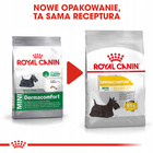 ROYAL CANIN CCN Mini Dermacomfort karma sucha dla psów dorosłych 8 kg