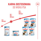 ROYAL CANIN Starter Mother and Babydog Mousse - karma mokra 12 x 195 g