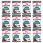 ROYAL CANIN Feline Care Nutrition - Urinary Care - Wet Gravy 12 x 85 g