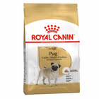 ROYAL CANIN Pug Adult karma sucha dla psów dorosłych rasy mops 1,5 kg