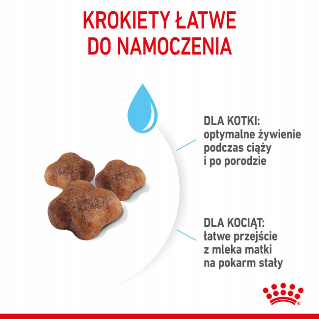 ROYAL CANIN Mother&Babycat karma sucha dla kotek w okresie ciąży 4 kg