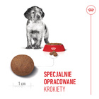 ROYAL CANIN Medium Puppy karma sucha dla szczeniąt 1 kg