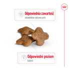 ROYAL CANIN Mini Adult 8+ karma sucha dla psów dojrzałych ras małych 2 kg