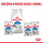 ROYAL CANIN Indoor Sterilised, karma mokra w sosie dla kotów 12 x 85 g