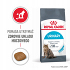 ROYAL CANIN Feline Care Nutrition Relaunch - Urinary Care - Dry 4 kg