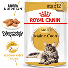ROYAL CANIN Maine Coon karma mokra w sosie dla kotów dorosłych 12 x 85 g