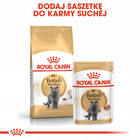 ROYAL CANIN British Shorthair karma sucha dla kotów dorosłych
