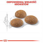 ROYAL CANIN Outdoor karma sucha dla kotów dorosłych 4 kg