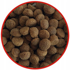 BIOFEED TASTY DOGS LIFE Small Wołowina karma dla psa sucha 600g zdrowa