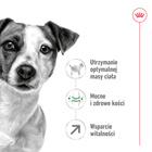 ROYAL CANIN Mini Adult 8+ karma sucha dla psów dojrzałych ras małych 0,8 kg