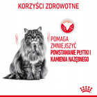 ROYAL CANIN Feline Care Nutrition Relaunch - Dental Care - Dry 3,5 kg