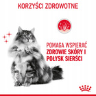 ROYAL CANIN Feline Care Nutrition Relaunch - Hair & Skin Care - Dry 2 kg