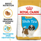 ROYAL CANIN Shih Tzu Puppy karma sucha dla szczeniąt do 10 miesiąca 0,5 kg