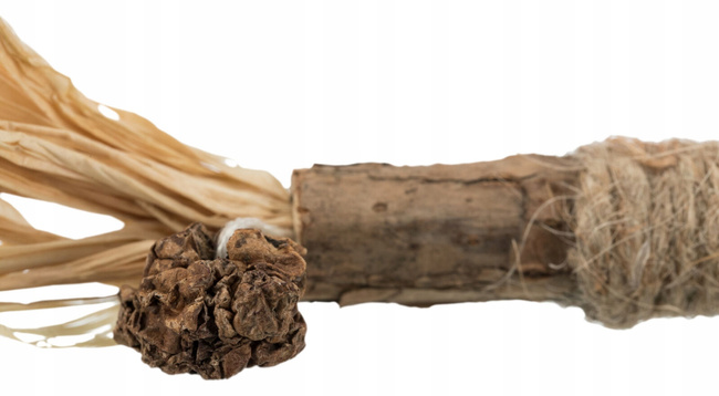 TRIXIE PATYK Z MATATABI Z FRĘDZLAMI DLA KOTA 24CM