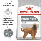 ROYAL CANIN CCN Maxi Dental Care karma sucha dla psów dorosłych 9 kg