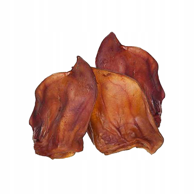 GACZOO 100% Naturalny przysmak dla psa Ucho Wieprzowe Duże XL 10 sztuk smakołyk