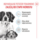 ROYAL CANIN Medium Starter Mother&Babydog karma sucha dla suk 4 kg