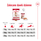 ROYAL CANIN Medium Adult 7+ karma sucha dla psów dojrzałych 15 kg
