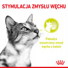 ROYAL CANIN Sensory Smell karma mokra dla kotów dorosłych 12 x 85 g