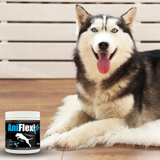 GAME DOG AniFlexi Fit V2 suplement na stawy dla psa 300g