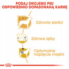 ROYAL CANIN Poodle Adult karma sucha dla psów dorosłych rasy 1,5 kg