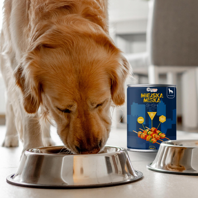 Gaczoo Miejska Miska karma mokra dla psa Shish z Kurczaka 24 x 400g