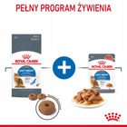 ROYAL CANIN Feline Care Nutrition Relaunch - Light Weight Care - Dry 8 kg