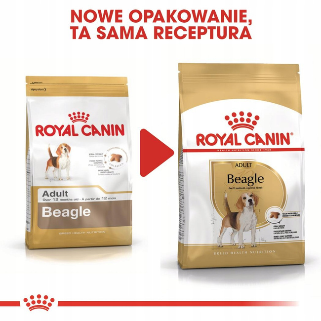 ROYAL CANIN Beagle Adult karma sucha dla psów dorosłych rasy beagle 12 kg
