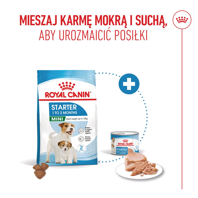 ROYAL CANIN Starter Mother and Babydog Mousse - karma mokra 12 x 195 g
