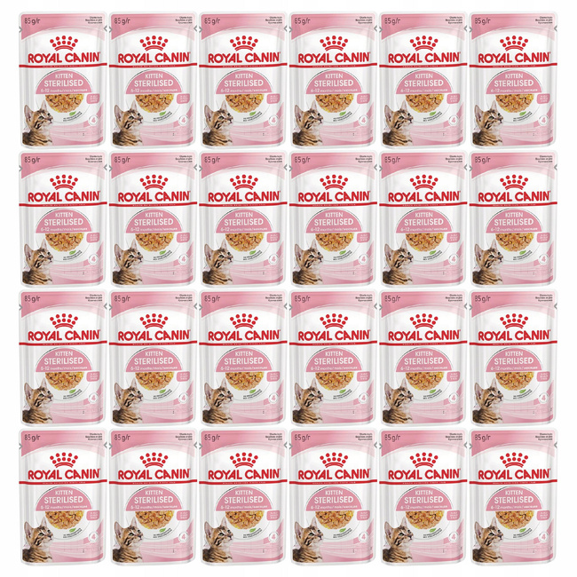 ROYAL CANIN Kitten Sterilised karma mokra w galaretce dla kociąt 24 x 85g