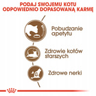 ROYAL CANIN Ageing +12 karma sucha dla kotów dojrzałych 2 kg