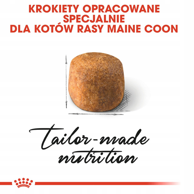 ROYAL CANIN Maine Coon Adult karma sucha dla kotów dorosłych 2 kg