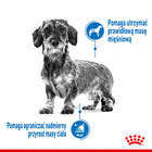 ROYAL CANIN Mini Light Care karma sucha dla psów dorosłych, ras małych 1 kg