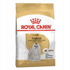 ROYAL CANIN Maltese Adult karma sucha dla psów dorosłych 1,5 kg