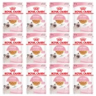 ROYAL CANIN Kitten Instinctive karma mokra w galaretce dla kociąt 12 x 85 g