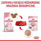 ROYAL CANIN Kitten Instinctive karma mokra pasztet dla kociąt 24 x 85g