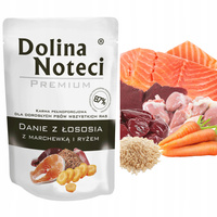 Dolina Noteci Premium Danie mokra karma dla psa 300g Łosoś