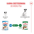ROYAL CANIN Mini Puppy karma mokra w sosie dla szczeniąt 12 x 85 g