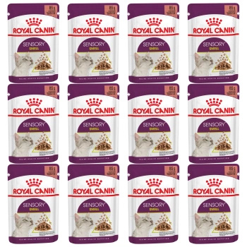 ROYAL CANIN Sensory Smell karma mokra dla kotów dorosłych 12 x 85 g